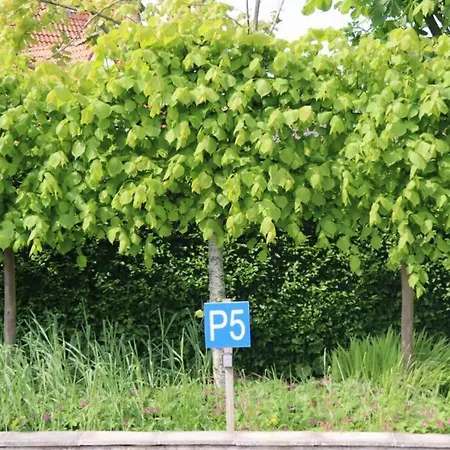 App Op Steenworp Golf&strand * דה האן